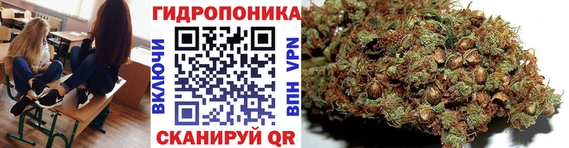 Купить  Пыть-Ях  Каннабис план 